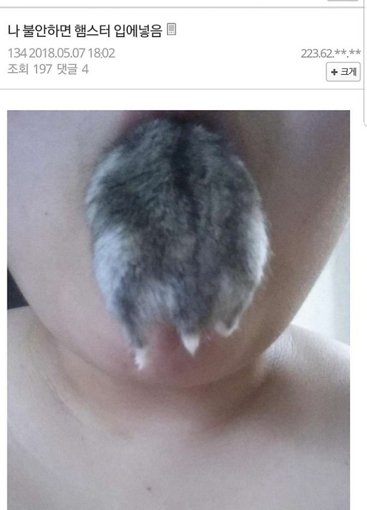 99D5D33F5B591D861027F2