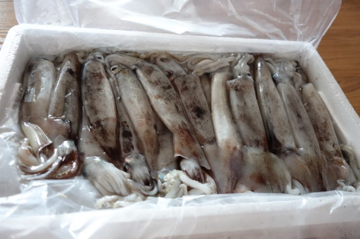 99DF0E3E5B09320028E7E6