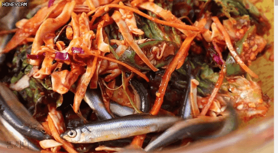 99750A4A5C6AAE451A1AC5