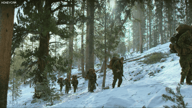 9967424D5C76B3B70BF236