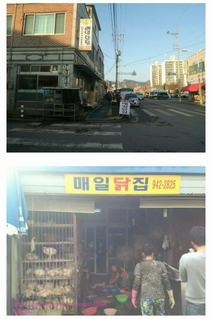 99B9493A5B2B769E31CAAA