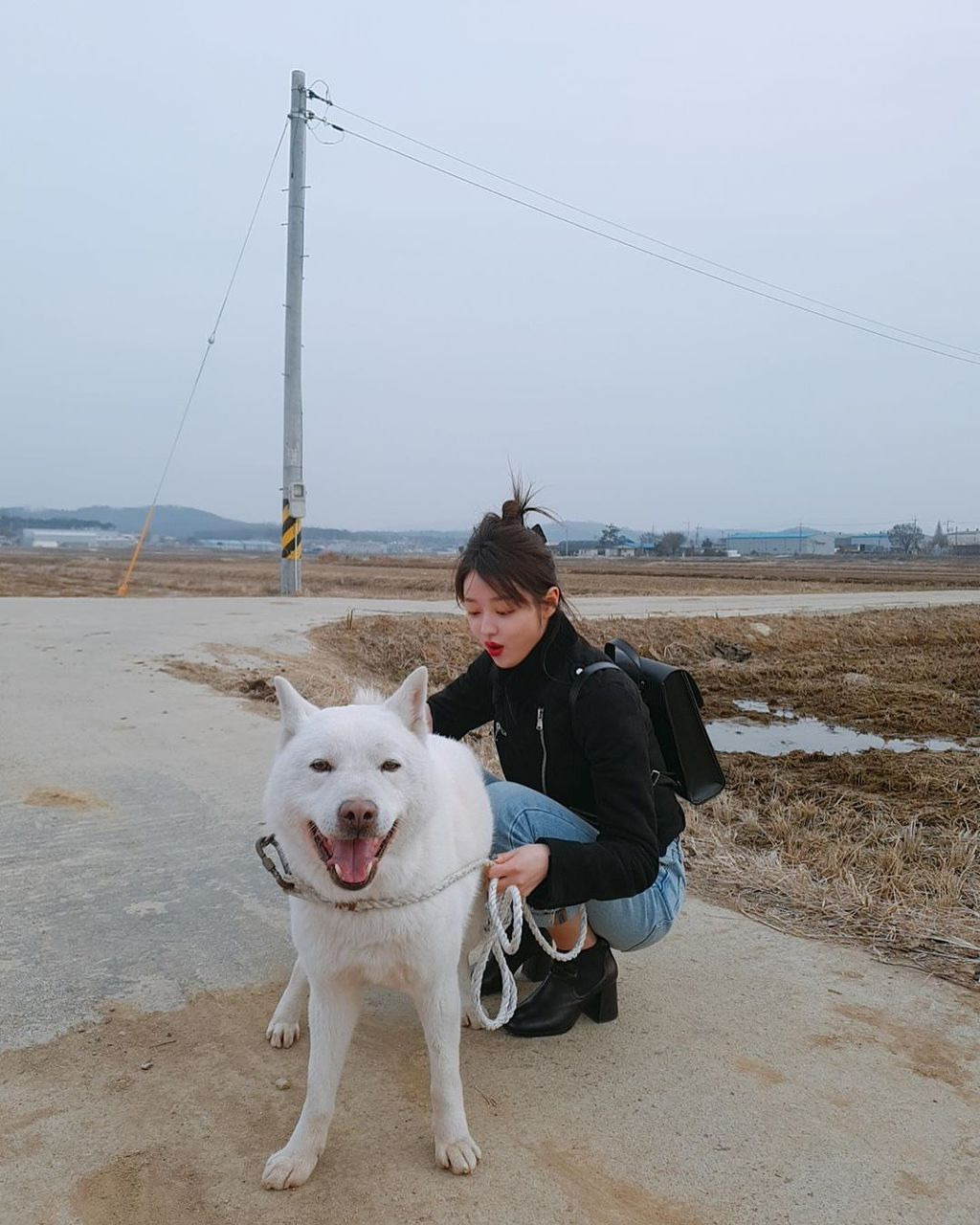 시골 댕댕이랑 유시아