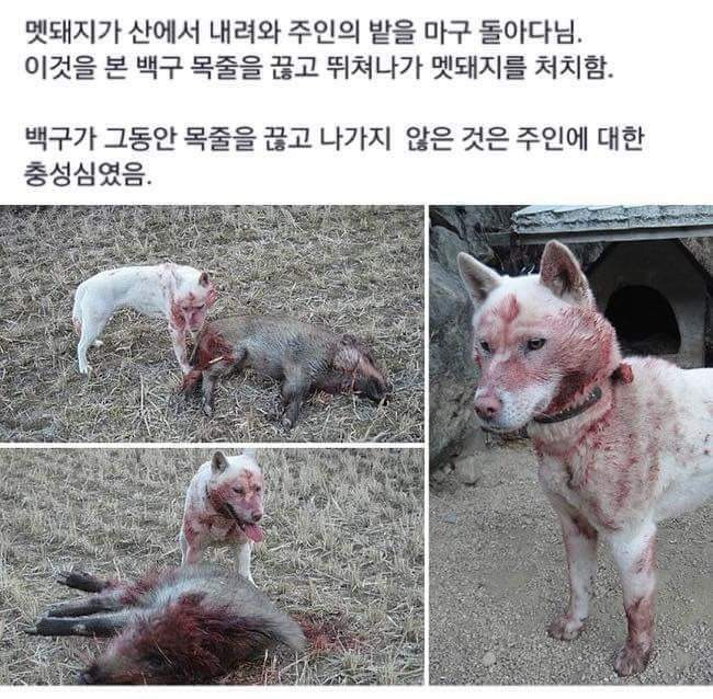 9971B6365B558E0C06BAA2