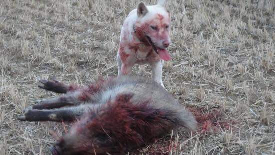 99C151365B558E0C30D941