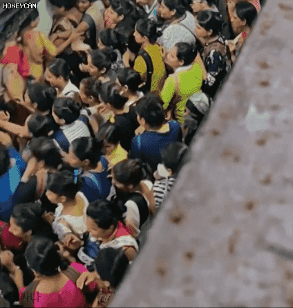 99FD56425C88BFD1070B27