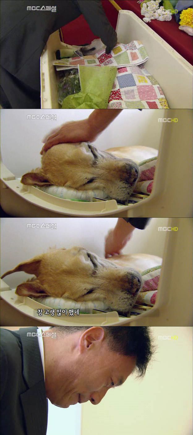 230D3741522DF7032B2810