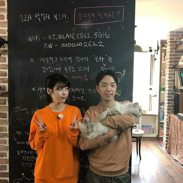 효리네 민박 손님들과 사진 찍은 아이유 | 인스티즈