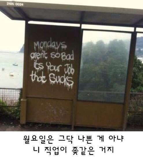 월요병의 원인이 드디어 밝혀짐 | 인스티즈