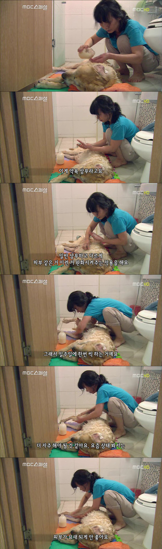 24618E42522DF6FF1822E1