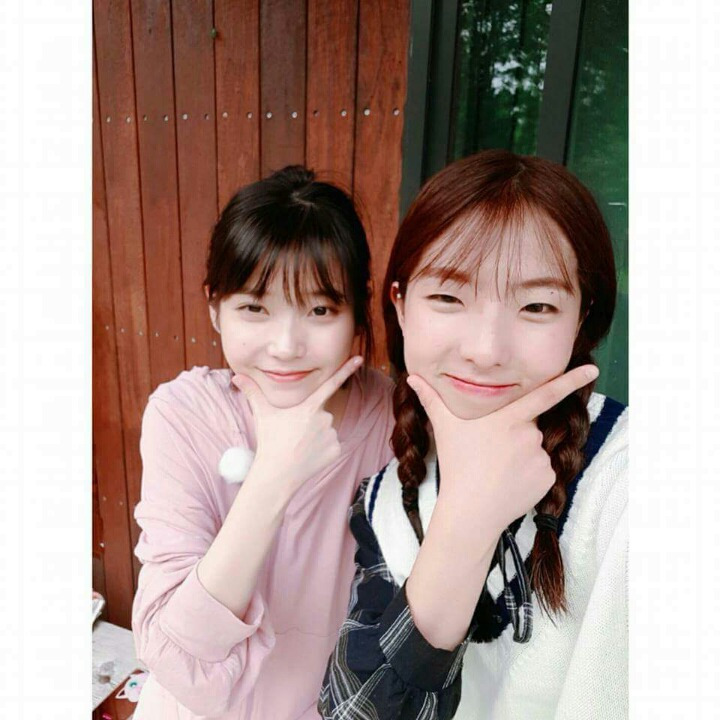 효리네 민박 손님들과 사진 찍은 아이유 | 인스티즈