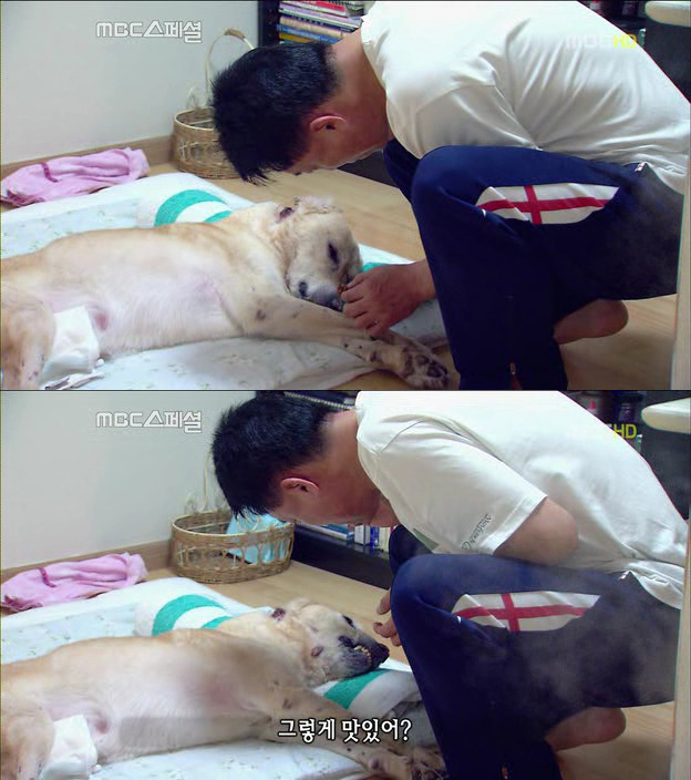 2147A042522DF6F8254876