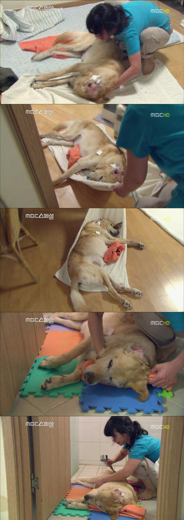 216ECA42522DF6FD11AD3E