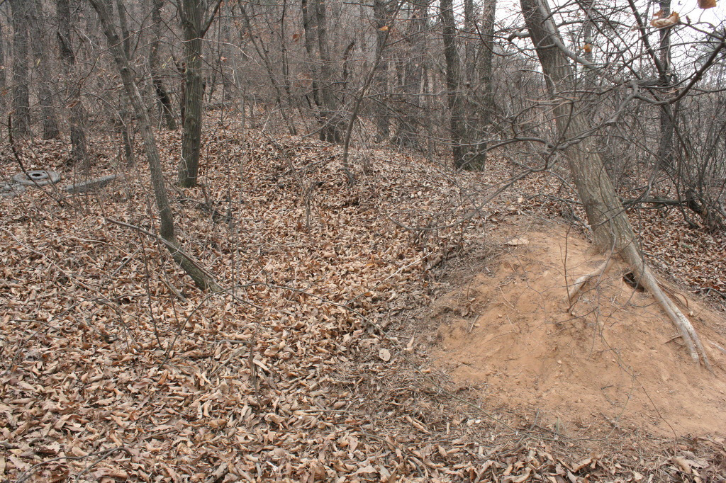 제암리~수도암~수촌리 (158.3.28) 이미지