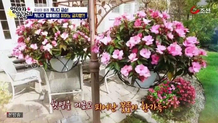 25170742588C75D40E9DF8