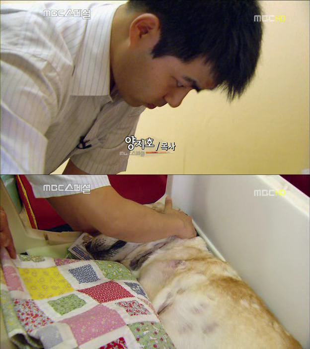 27456C41522DF704149F00