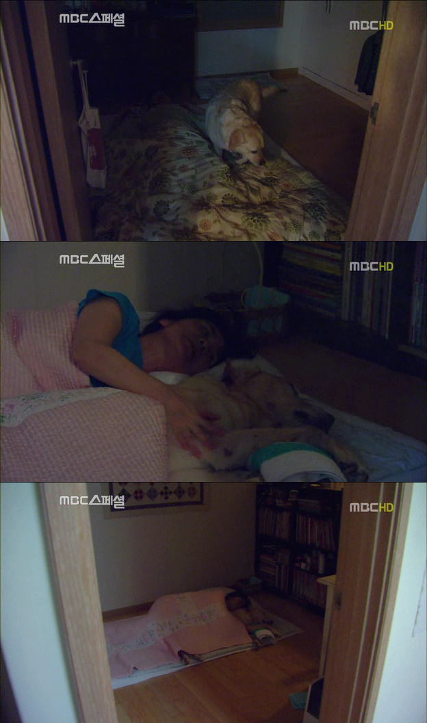 252D9142522DF6FB31F9A6