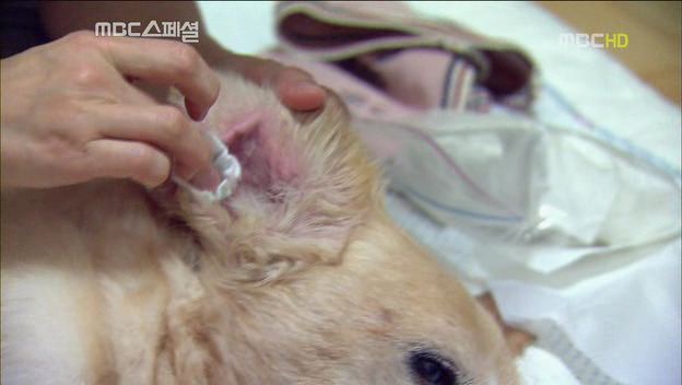 2642543F522DF6EC19E354