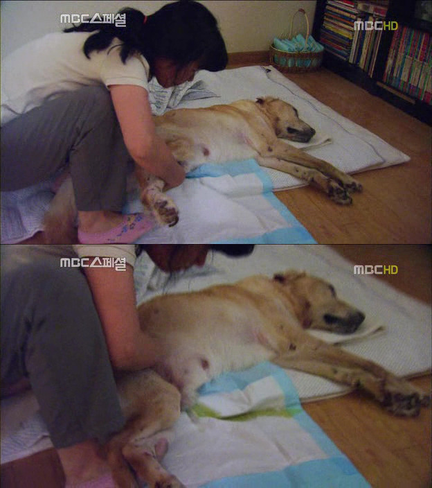 2638843F522DF6EE1D9D06