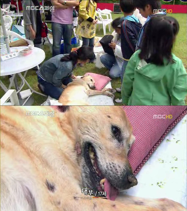 23135441522DF7002ABD56