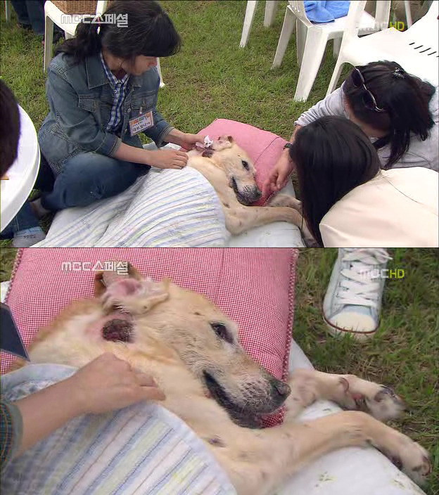 223F2141522DF702175BFF