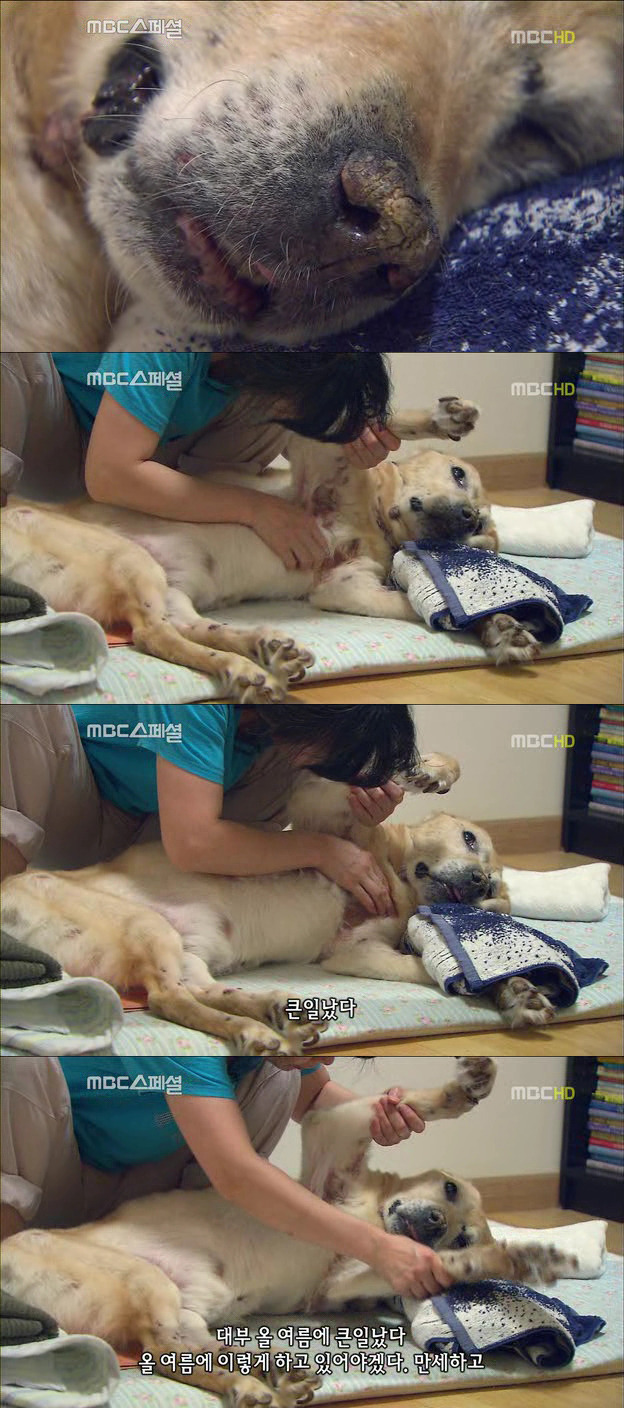 25196A42522DF6FC020732