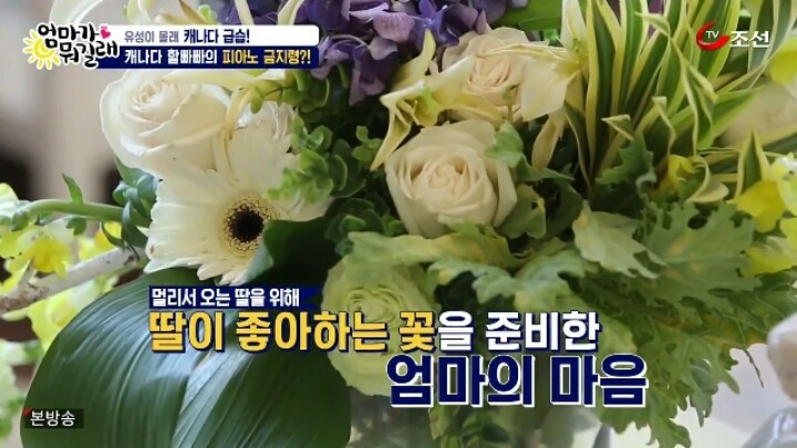 264BAD42588C75D1271053