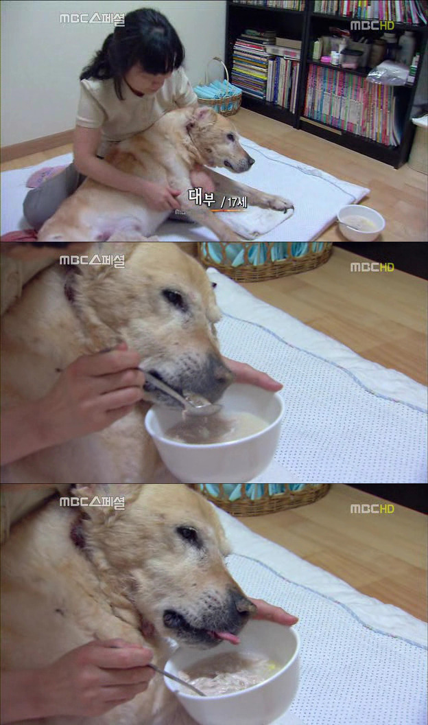 227FD03F522DF6EB011BC4