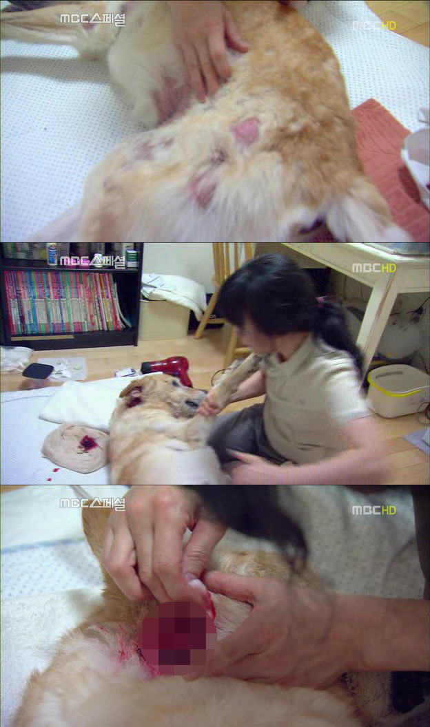 2757793F522DF6F110941A