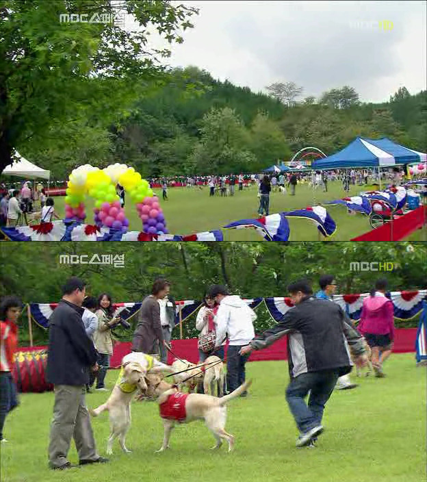 21046641522DF6FF33BD19