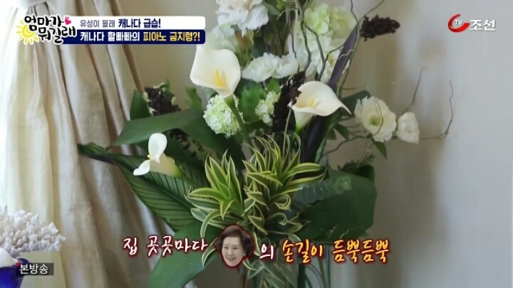 220DA641588C75D2167B68