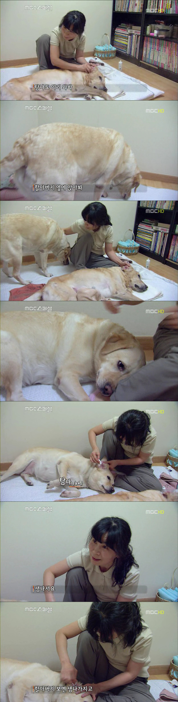 241CE93F522DF6ED2CC01D