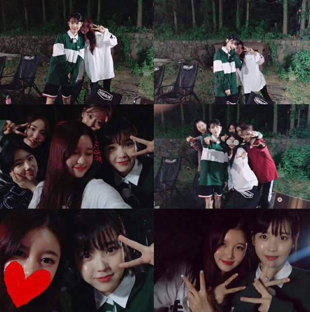 효리네 민박 손님들과 사진 찍은 아이유 | 인스티즈