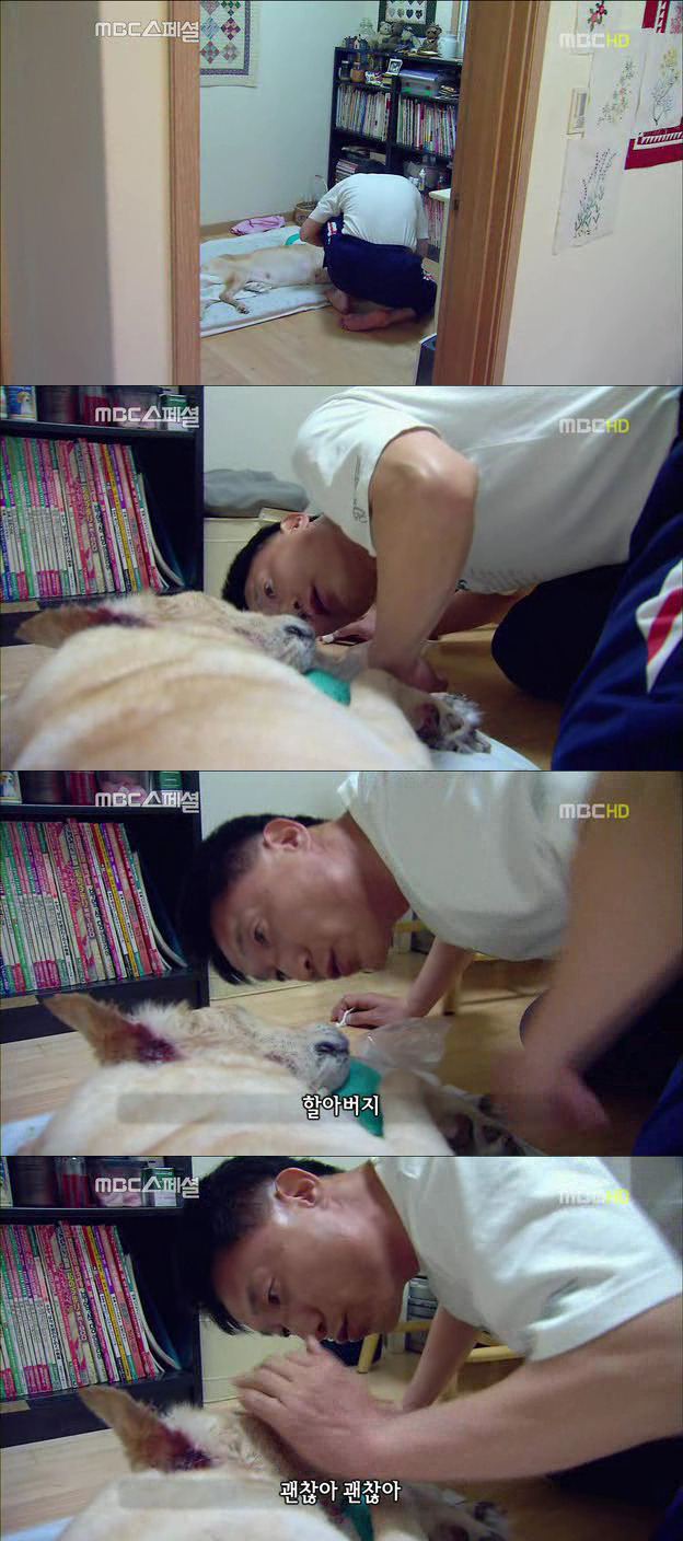 264DC33D522DF6F72B0A08