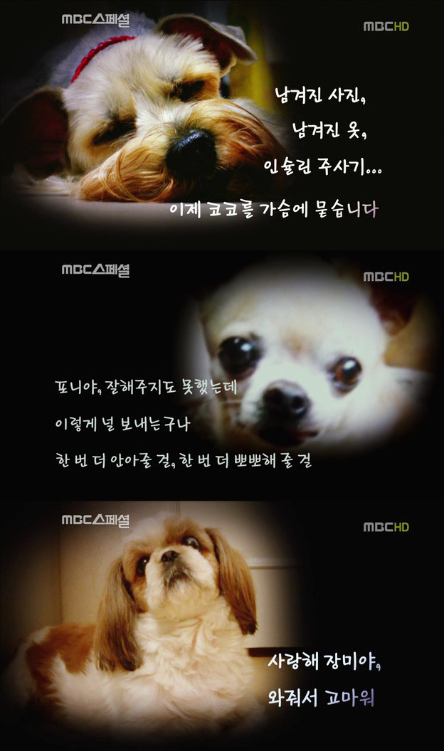 27673840522DF70D0E2CD8