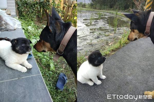 0bddc9efba7763bf33eabb8a125536de9f60f661