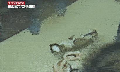 1328c0e1ed46c82d9e5c11be1a4b3916fa83e549