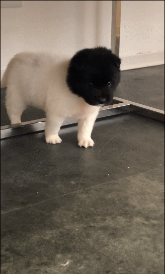 22dd02ac43f733386aaae4d3fb9266a92373edd6