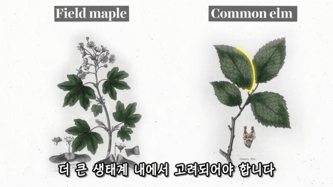 3c7f3b3f8efab83f13e1c0a3d72c2bc6a2ab5098