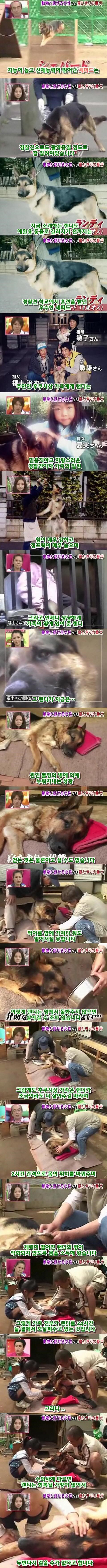 3e5cabefd9a91d736b1919c508f8eeac196bd94b