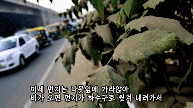 66044202c418ff9bcbe6574e3060772cfa4e4509