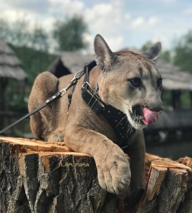 6e569bb6af56962ee6acac083589abe0ce9c3656