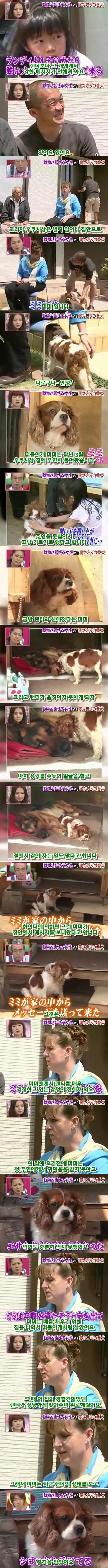 72d0290986176b3a08f2b776a9f05690353d7efc