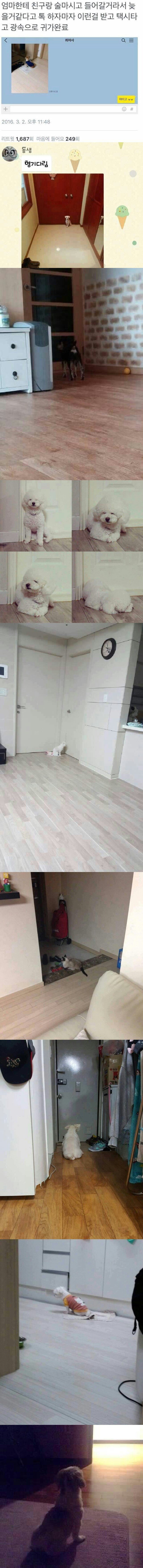 8586119c19c5cc3f19be52aa743b36c6c00a9a35