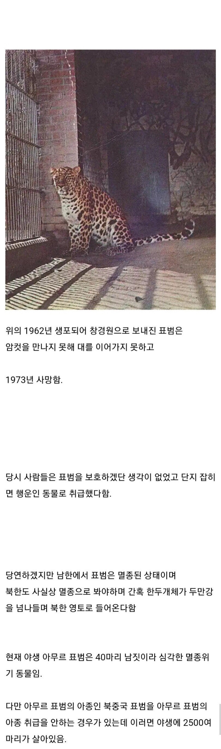 88f1dd8c9531f0863776114fd6eb41be5cadd37d