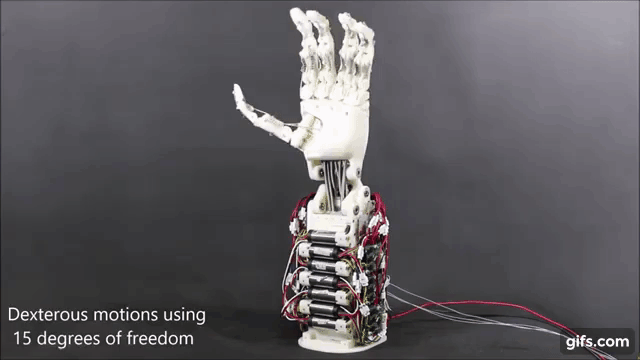 8f9a96c34d12e5c13fbde9e6276e3f4aa6b2279a