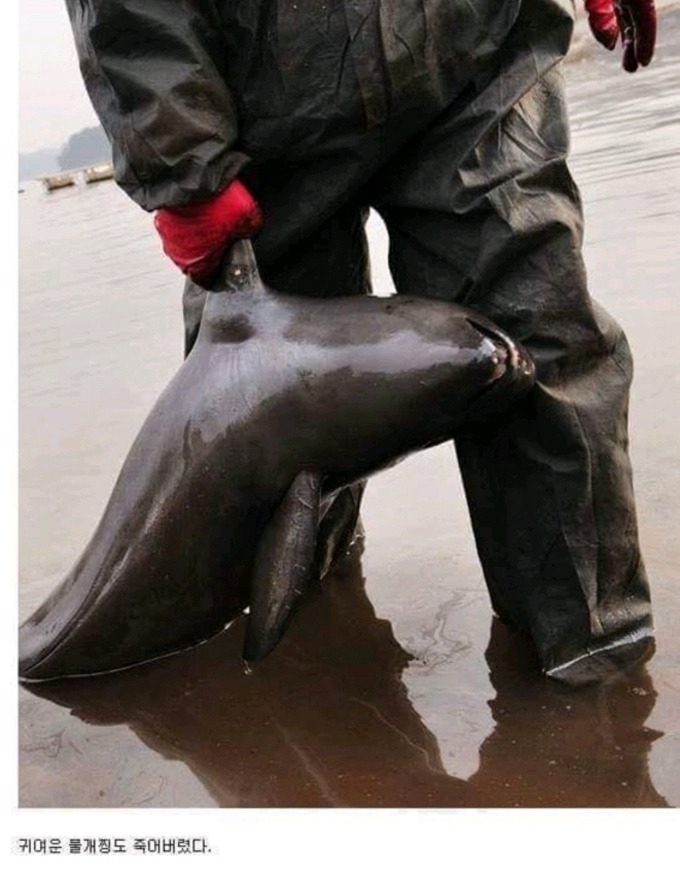 a2066f1586df96a0934fa5892955edb2c41583e0