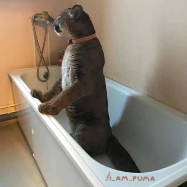 a661958ae38452b8802f9ce21a77608e2629a739