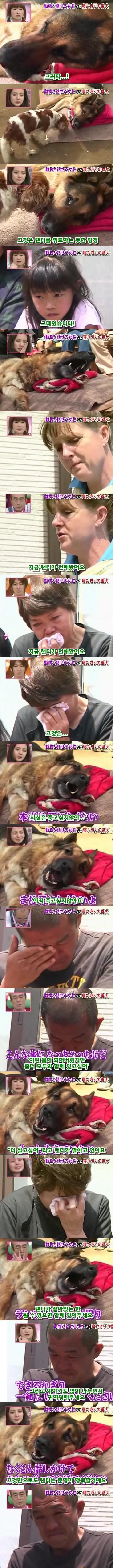 b146c1aea577a3449c4190f38c1840390c5a8f35