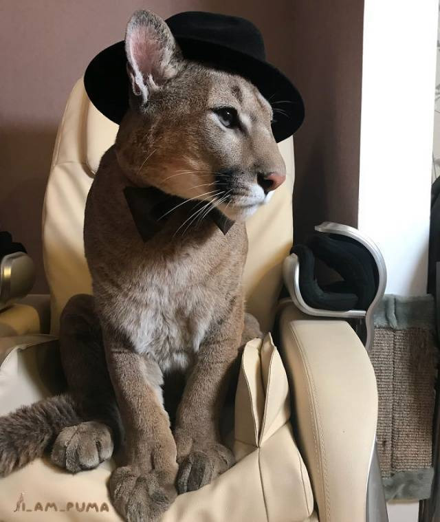 cbbd40fd18ed70470a991b7890fdab2039b0f6f2