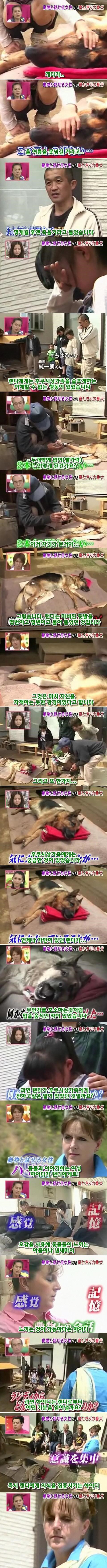 d6c0d93952ff54addfefe22d8e7e96ec4e3985a1